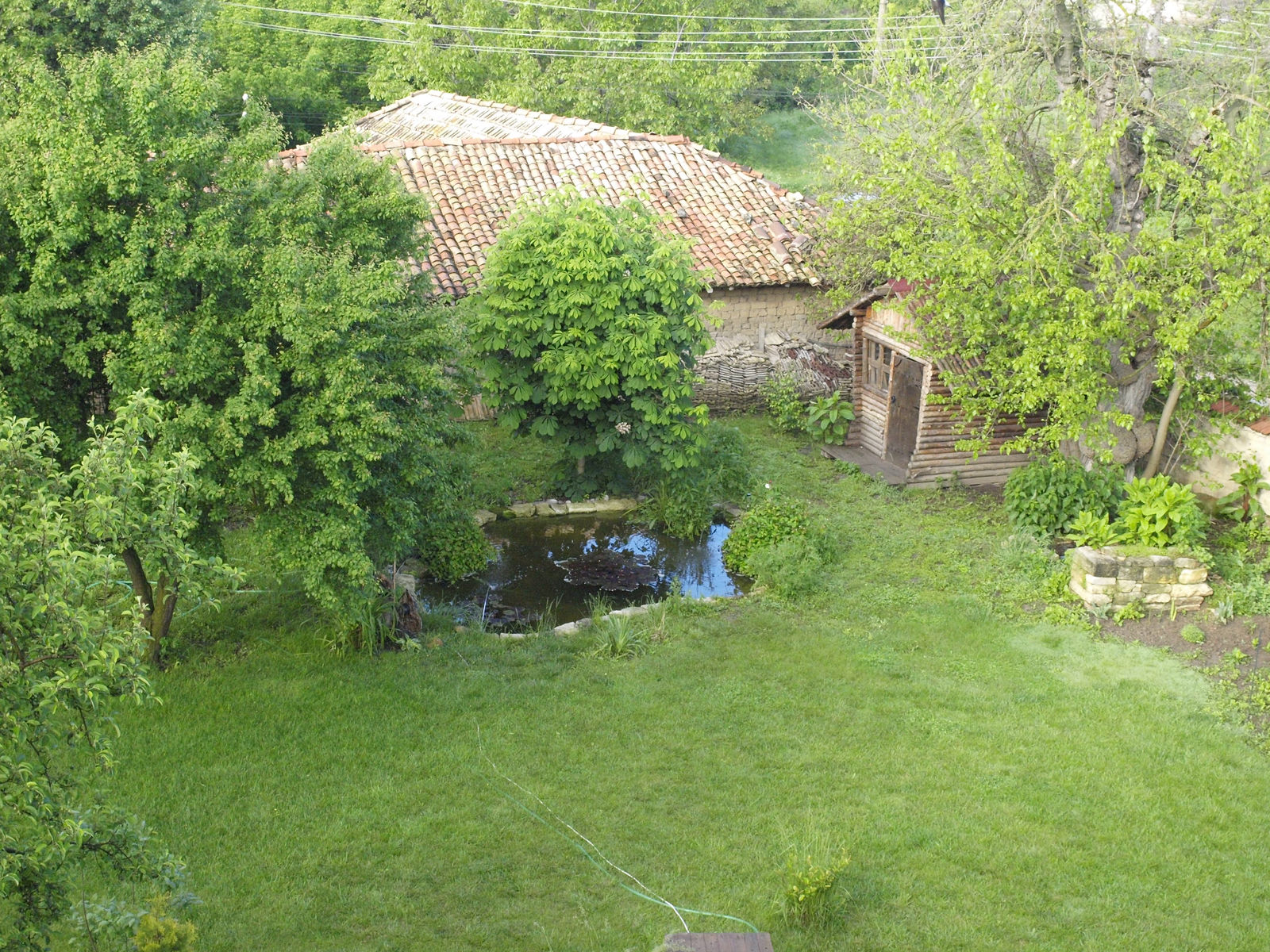 _5152401.JPG