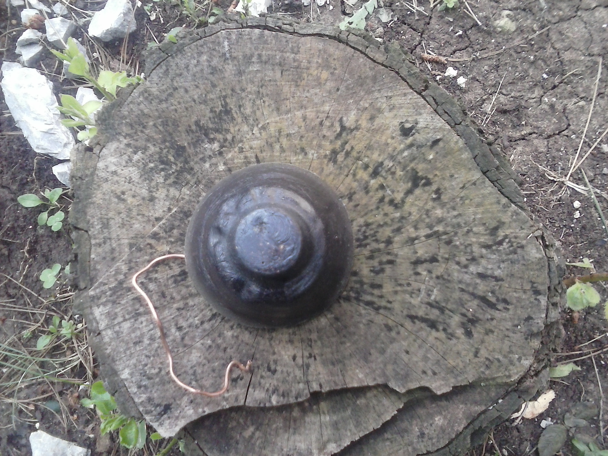 CAM00119.jpg