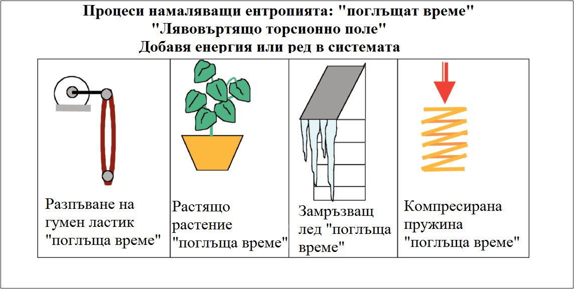 Kozyrev negantropy.png