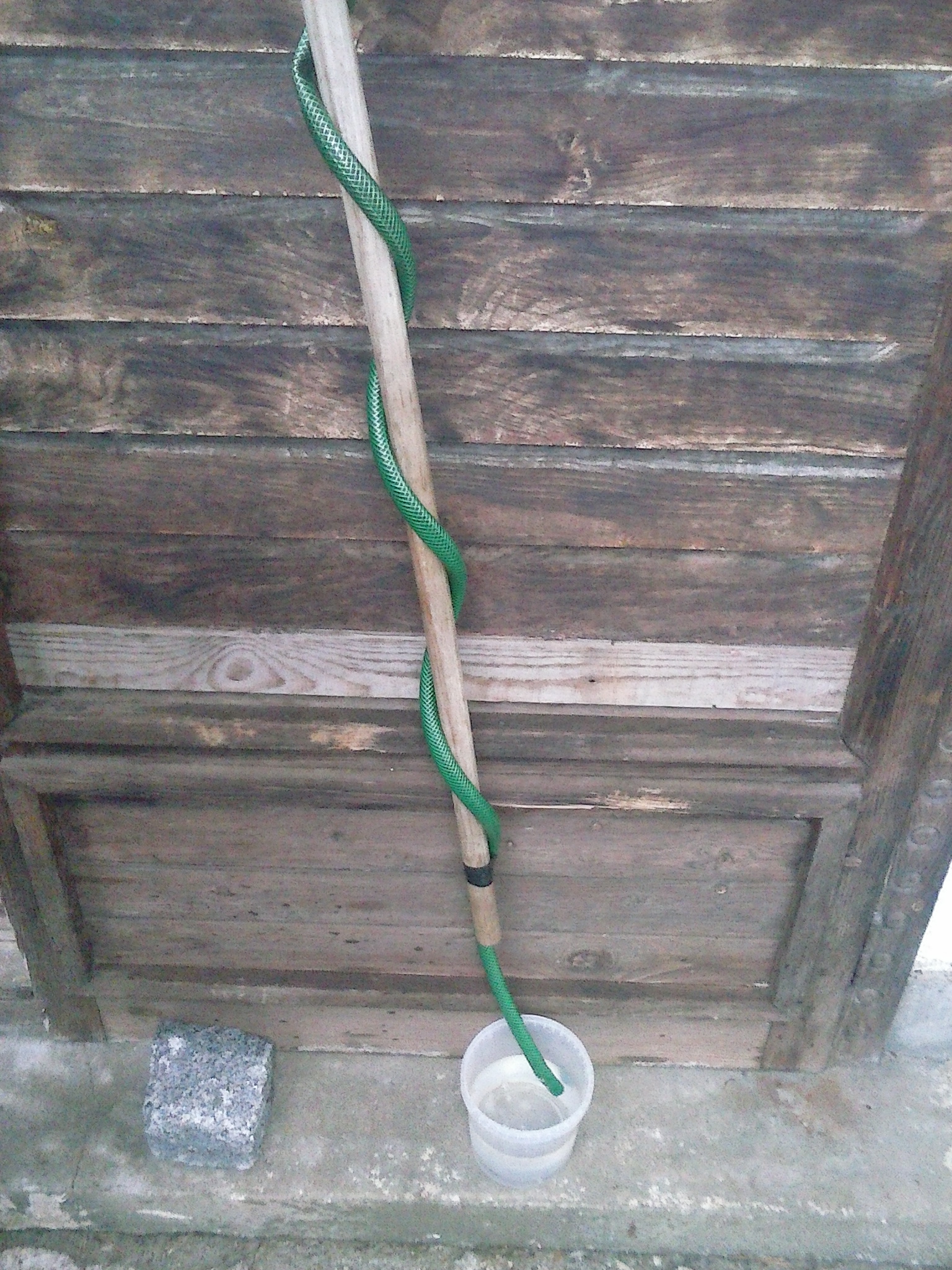 CAM00215.jpg