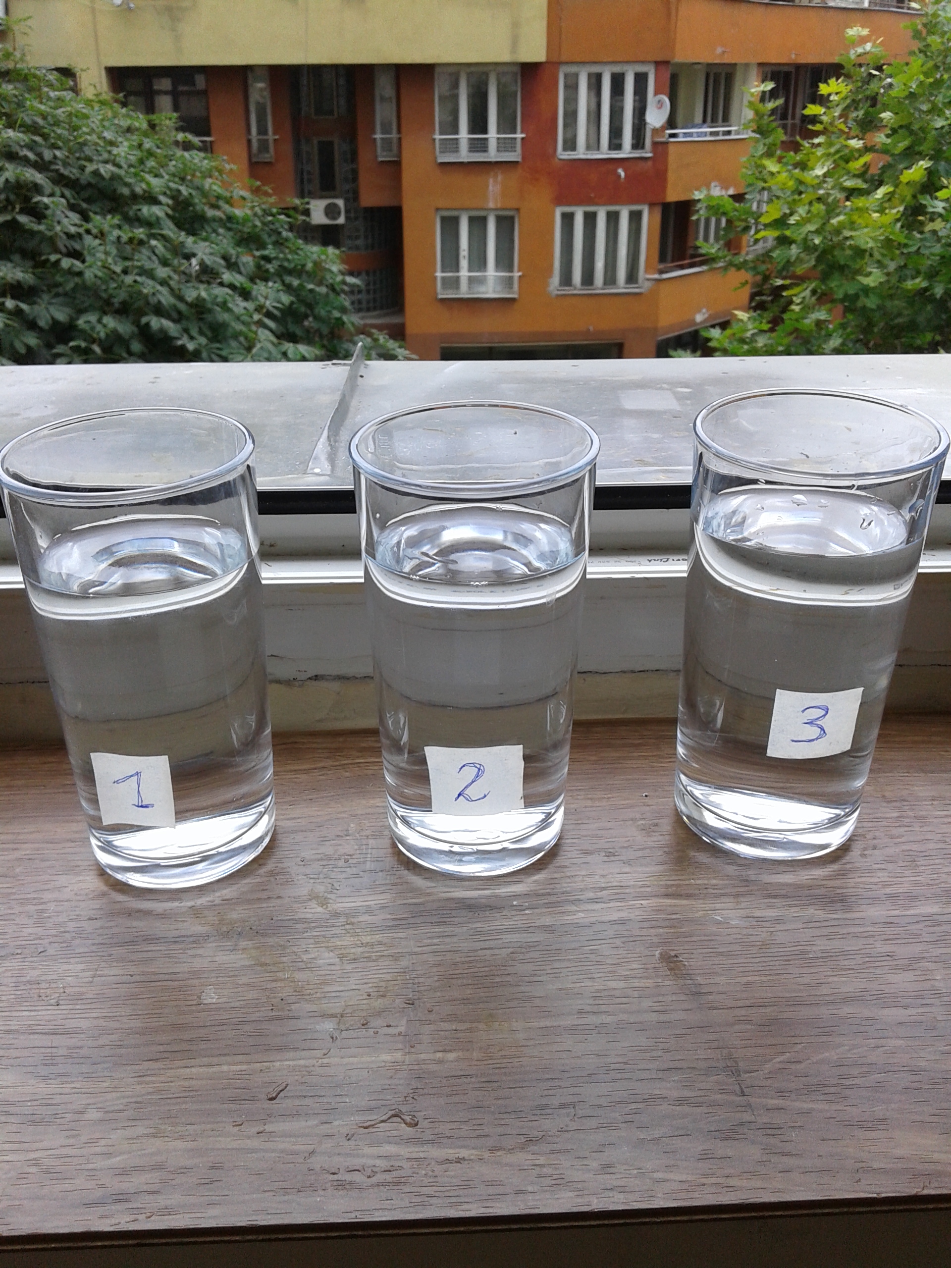20150629_123532.jpg