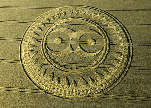 3-OWL.jpg