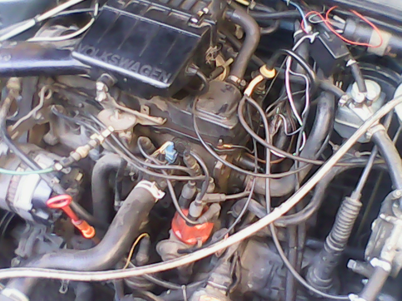 IMG_20131012_153916668.jpg