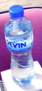 VODA SILVIA.jpg