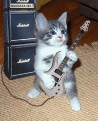 i333423336_93208_6.gif